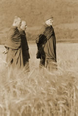 walking with monks