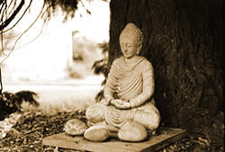 buddha's image under the tree